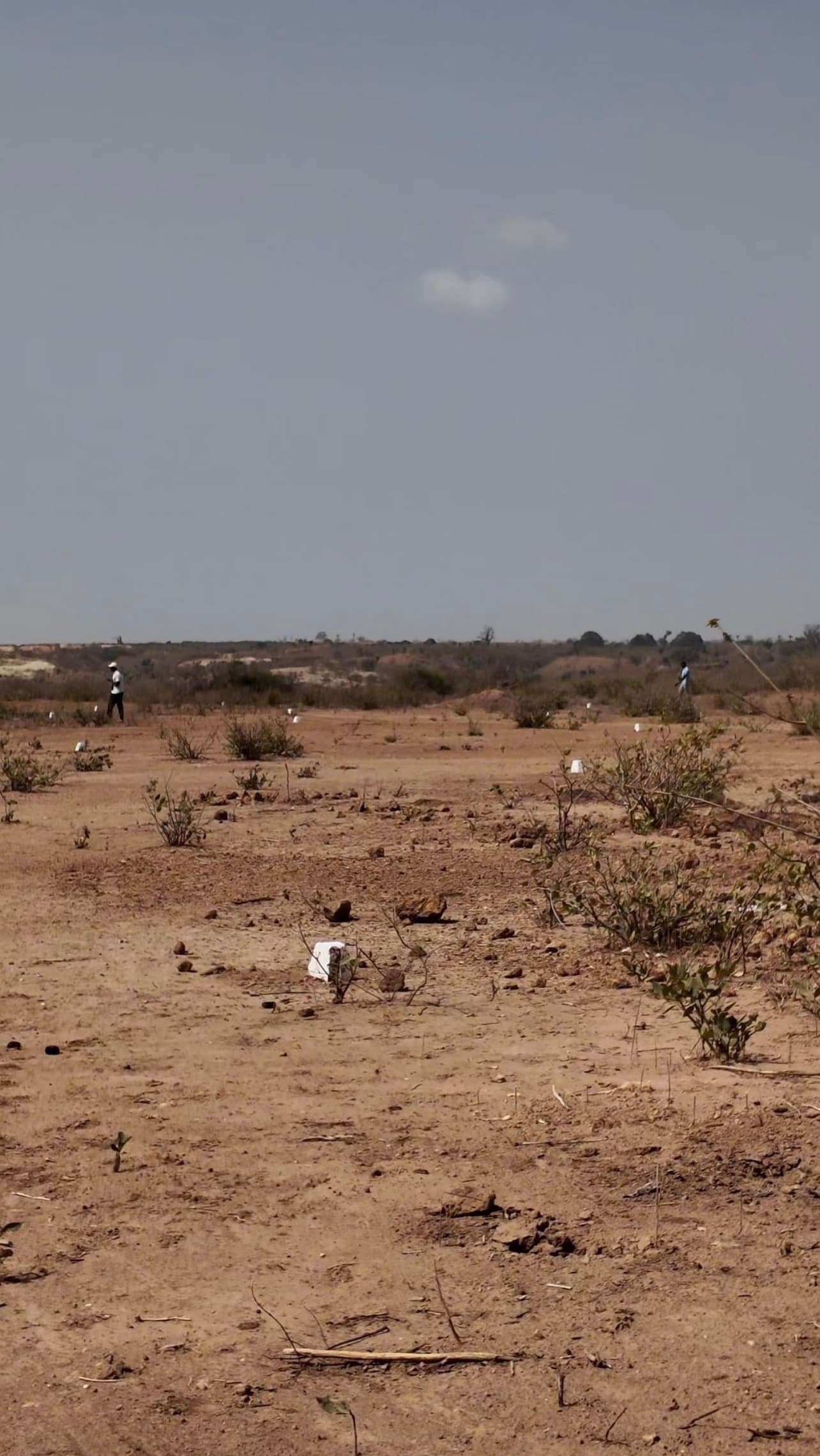 Terrains
